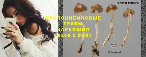 дмт Лихославль
