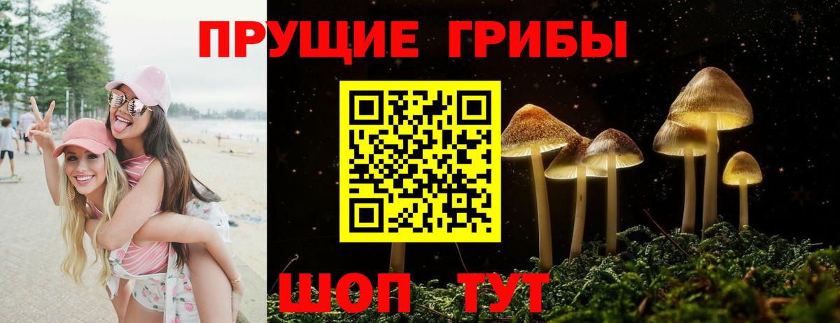 Боровичи  Галлюциногенные грибы Psilocybine cubensis  Вход с VPN 