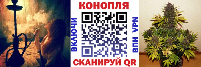 Марихуана марихуана  где продают наркотики  Боровичи 